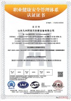 職業(yè)健康安全管理體系認證證書